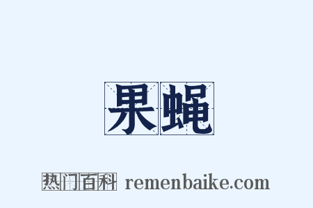 果蝇是什么意思的图片